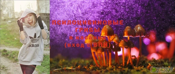 первитин Верея