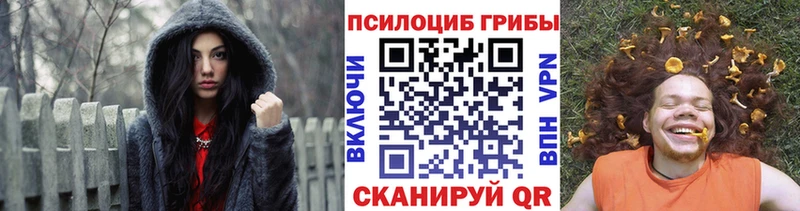 Псилоцибиновые грибы Psilocybine cubensis  Первомайск 